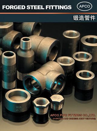 FSF Forged Steel Fittings